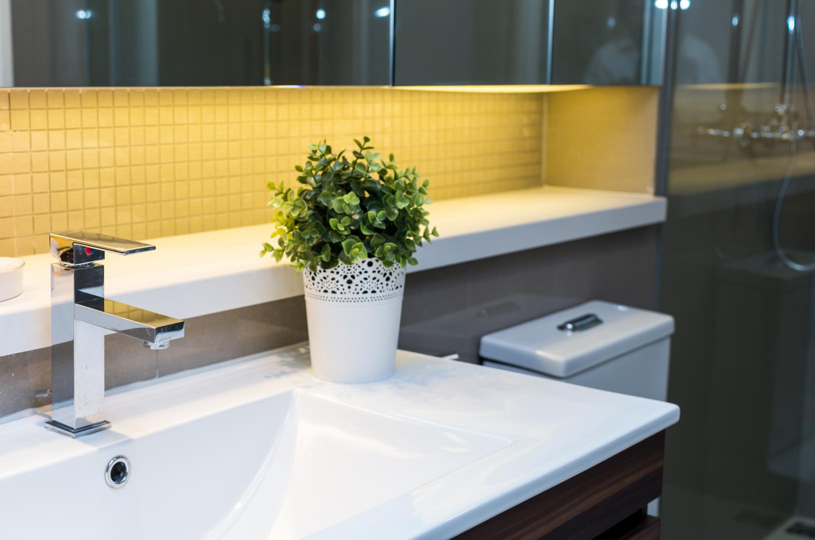 Sanitaire RISCLE